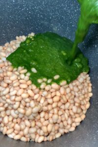 white beans with spinach coriander mix