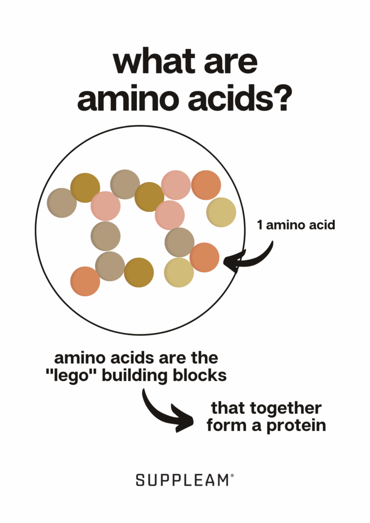 wat zijn aminozuren 